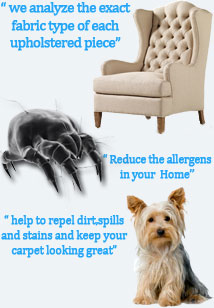 Carpet and upholstery Stain Removal